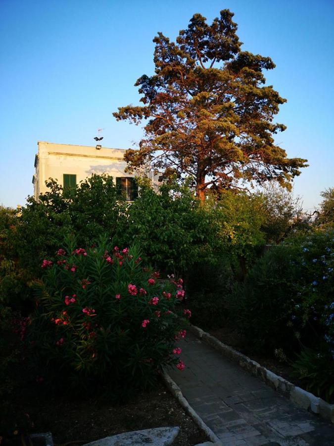 B&B Villa Maria 지오비나조 외부 사진
